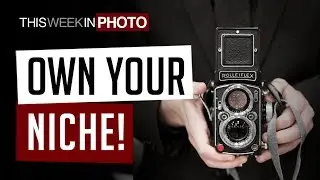 3 Ways to Own Your Niche! - TWiP 513
