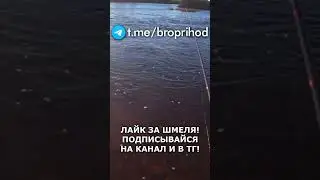 Пиши интересные моменты с рыбалки #рыбалка #fishing #рыба #река #братьяПриходьк #удочка #хариус