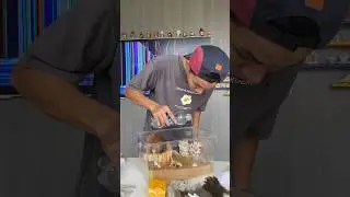 Lần đầu làm hồ nuôi ốc mượn hồn