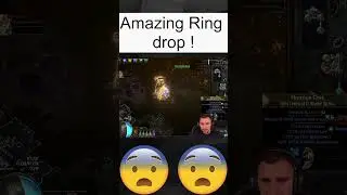 An amazing Synthesised Ring drop on POE ! 