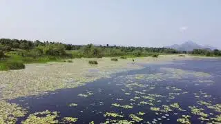 Lake and rice fields - Drone: