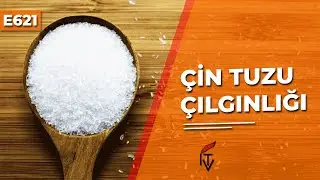 Çin Tuzu Nedir? E621 (Bugün Ne Yedim) | Gıda Katkı Maddeleri