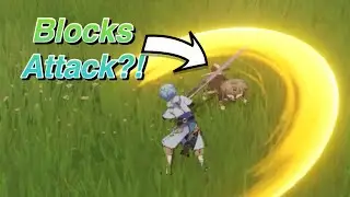 You Can Fight this Pet!