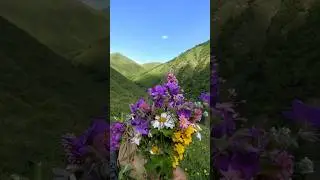 bezhta.original 😻😻😻 #бежта #цветы #природа #эстетика #горы #bezhaoriginal ✨