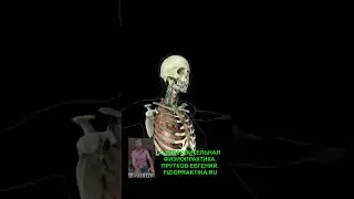 Чакра Вишудха. Восстановление Щитовидной железы и гортани. Оздоровительная 
