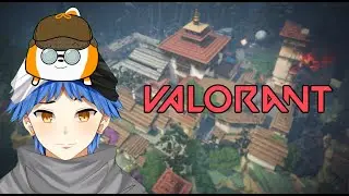 【Valorant】the BEST support player! ... in Platinum lol