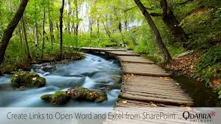 Create Links to Open Word and Excel from SharePoint Document Library: Qdabra Webinars 2022-07-21