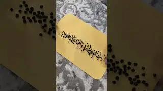 Насыпал ЧЁРНОГО ПЕРЦА НА СТЕЛЬКУ и теперь так хожу