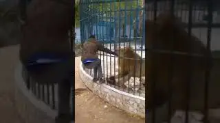 Kalau sudah kaya gini.. Siapa yang salah 😵😵😵😯