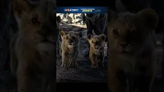 ОТЕЦ СИМБЫ СПАС ЕГО ОТ ГИЕН