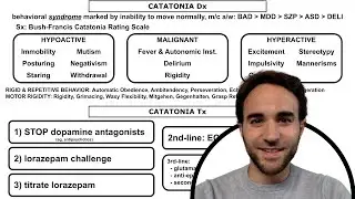 Catatonia Overview