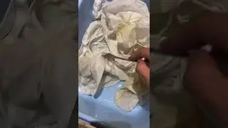 #пятновыводитель