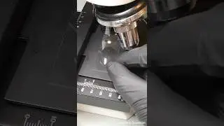 Calibrating an optical 