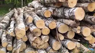 17 мая 2023 г.