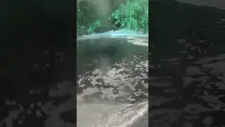 Подлещик на кастинговую сеть! китайку! Как бросать кастинговую сеть!