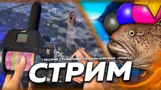 🔥С МЕСТА ⭐ Приболел, еду отдыхать на море 🎁Рулетка & Розыгрыши 🏆 СТРИМ РР4