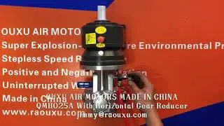 QMH025A Piston air motor with horizontal gear reducer