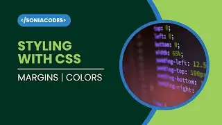 CSS Basics: Styling Margins & Colors Like a Pro!