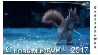 ПОЗДРАВЛЕНИЕ ОТ БелочкИ С НОВЫМ 2017 ГОДОМ !