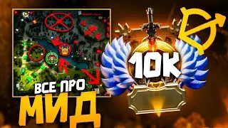 ПОДРОБНЕЙШИЙ ГАЙД для МИД игроков от 10к тренера