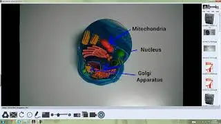 Recordex XSight HD Viewer   Introduction