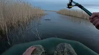 УЕХАЛ ОДИН дальше ВСЕХ и нарвался на бешеный КЛЕВ!! Рыбалка на ЗАРЕ!