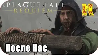 A Plague Tale Requiem: Прохождение Глава 5 - После Нас