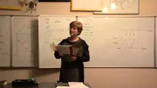 Русский язык как инструмент познания генетического кода. Часть 2