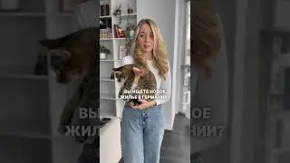 🇩🇪 Фразы для поиска жилья в Германии на немецком 