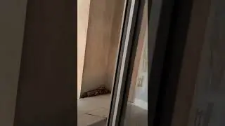 свежесть