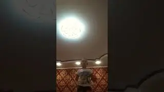 29 ноября 2023 г.