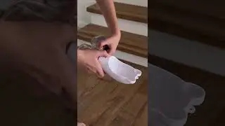 Обзор на сумочку для моей собачки 🐶🫶