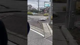 Japan Earthquake Footage