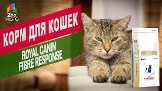 Корм для кошек Royal Canin Fibre response | Обзор корм для кошек Royal Canin Fibre response