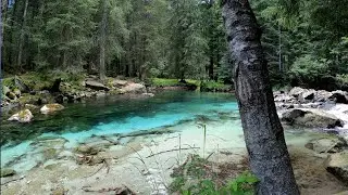 Natural Beauty