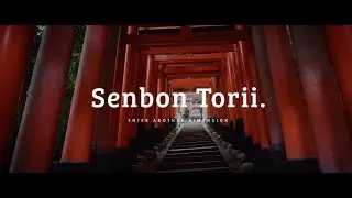 Senbon Torii —  Enter Another Dimension | Fushimi Inari Taisha, Kyoto