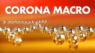 Corona Macro Photography