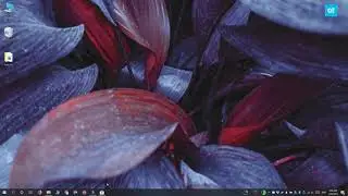 How to enable thumbnail previews for RAW images on Windows 10