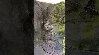 ВОТ ЭТО СНАСТЬ!!! Верша (кубарь, ятерь, морда). Супер снасть для ловли любой рыбы!!!