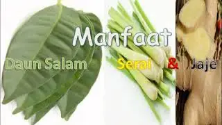 Manfaat Daun Salam, Serai Dan Jahe