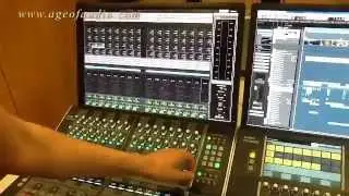 Steinberg Nuage