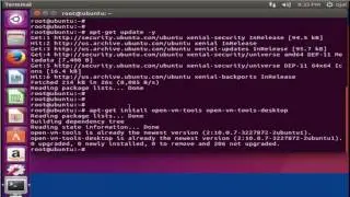 How to step by step install Vmware Tools in Ubuntu linux