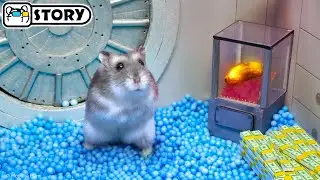 🐹 Hamster Bank Robbery and Escape 🐹 Homura Ham Pets
