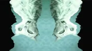 Preview 2 Numa Cat 3 Effects In Blind
