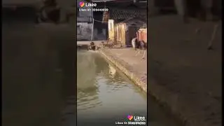 Lol😁😁😁