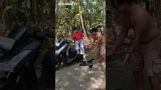 Sifat asli wanita #shortvideo #shortsfeed