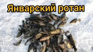 Как ловить ротана в глухозимье Зимняя Рыбалка 2020