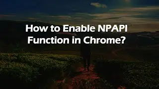 How to Enable NPAPI Function in Chrome?