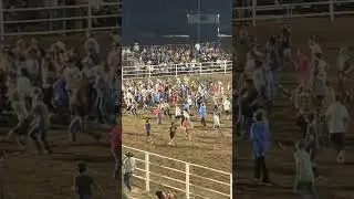 Money calf at rodeo