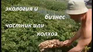 Экология и бизнес, частник или колхоз